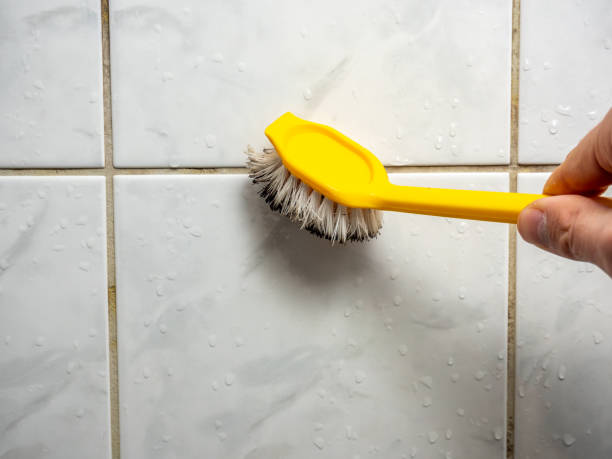 Best Mold Removal Company Near Me  in Mount Vernon, TX