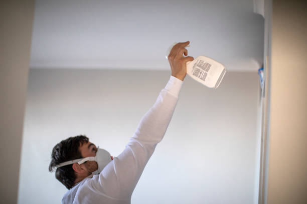 Mold Removal Process in Mount Vernon, TX