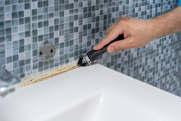 Best Commercial Mold Removal  in Mount Vernon, TX